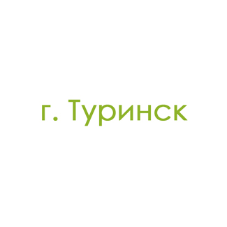 г. Туринск (0)